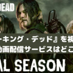 海外ドラマ：『ウォーキング・デッド（Walking Dead)』はどこの動画配信サービスで視聴できる？【最新版】