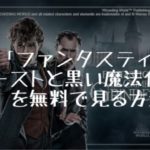 映画：「ファンタスティック・ビーストと黒い魔法使いの誕生」を無料で見る方法