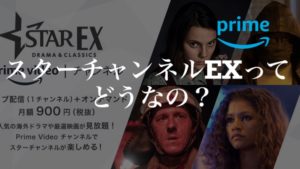 スターチャンネルEX(Starch EX)を徹底レビュー【口コミやメリット・デメリットを紹介】