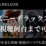 ディズニーデラックスで同時視聴は何台まで可能？【やり方もご紹介】