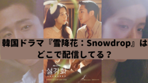 韓国ドラマ「スノードロップ:Snowdrop」を視聴できる動画配信サービスはどこ?【BLACKPINKジス出演】