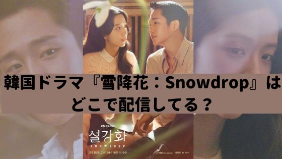 韓国ドラマ「スノードロップ：Snowdrop」を視聴できる動画配信サービスはどこ？【BLACKPINKジス出演】